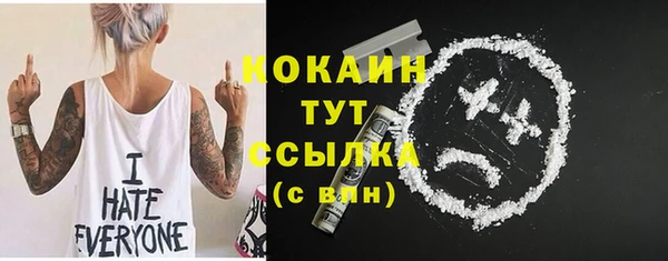 твердый Бородино