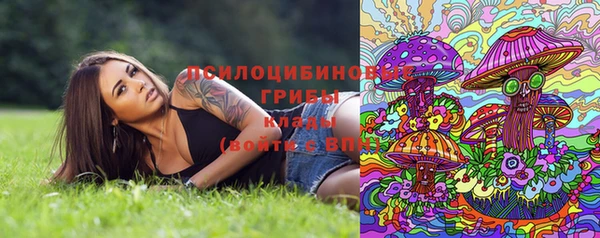 мяу мяу мука Бугульма