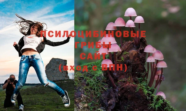 амф Бронницы