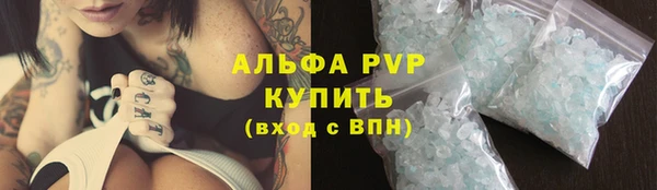 твердый Бородино