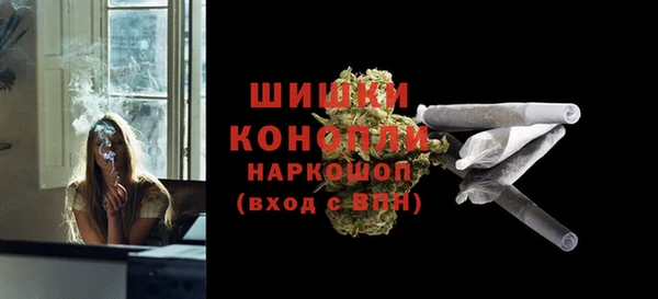 твердый Бородино