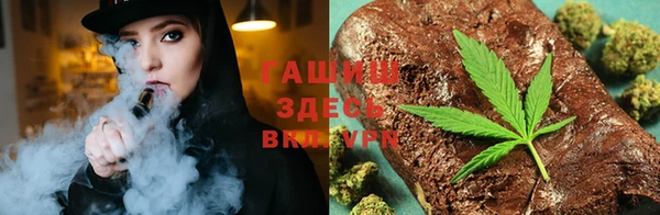 твердый Бородино