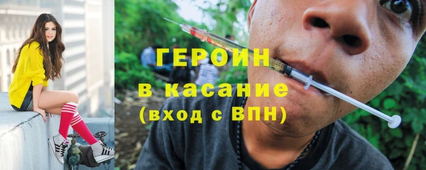 твердый Бородино