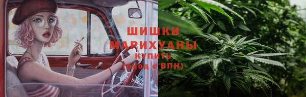 твердый Бородино